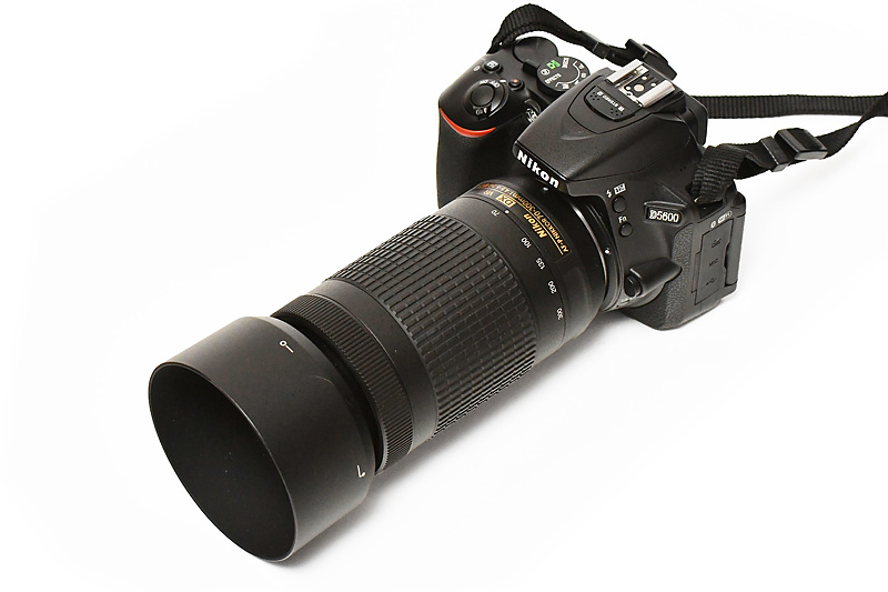Nikon D5600ダブルズームキットによる野鳥写真撮影への挑戦