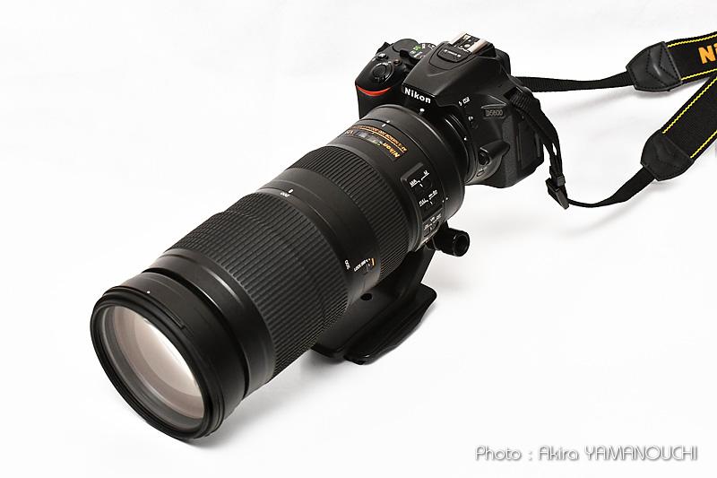 Nikon D5600とNikon AF-S NIKKOR 200-500mm f/5.6E ED VRによる野鳥 
