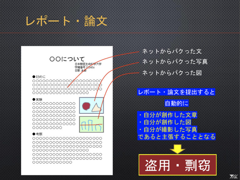 盗用・剽窃について