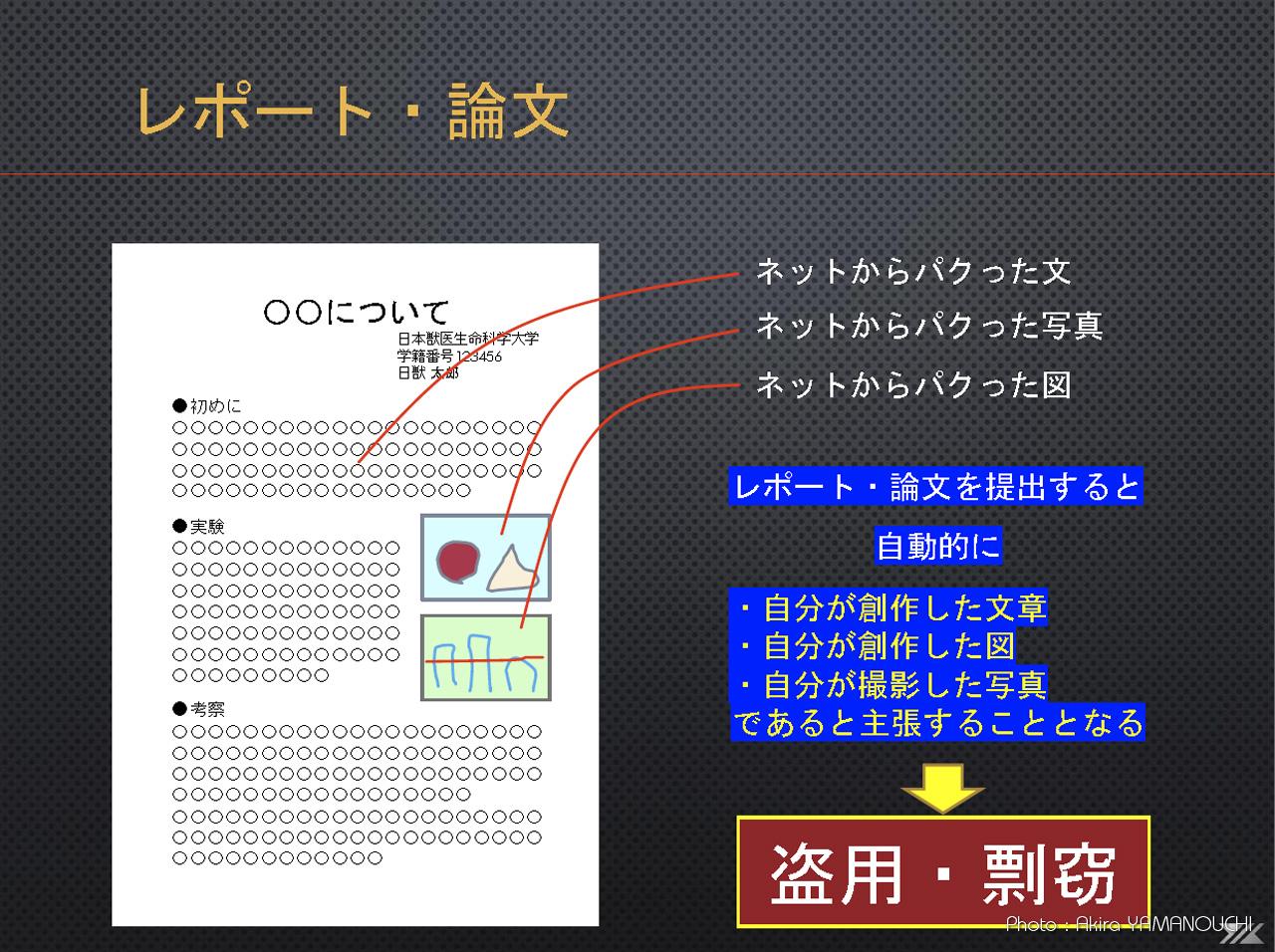 盗用・剽窃について