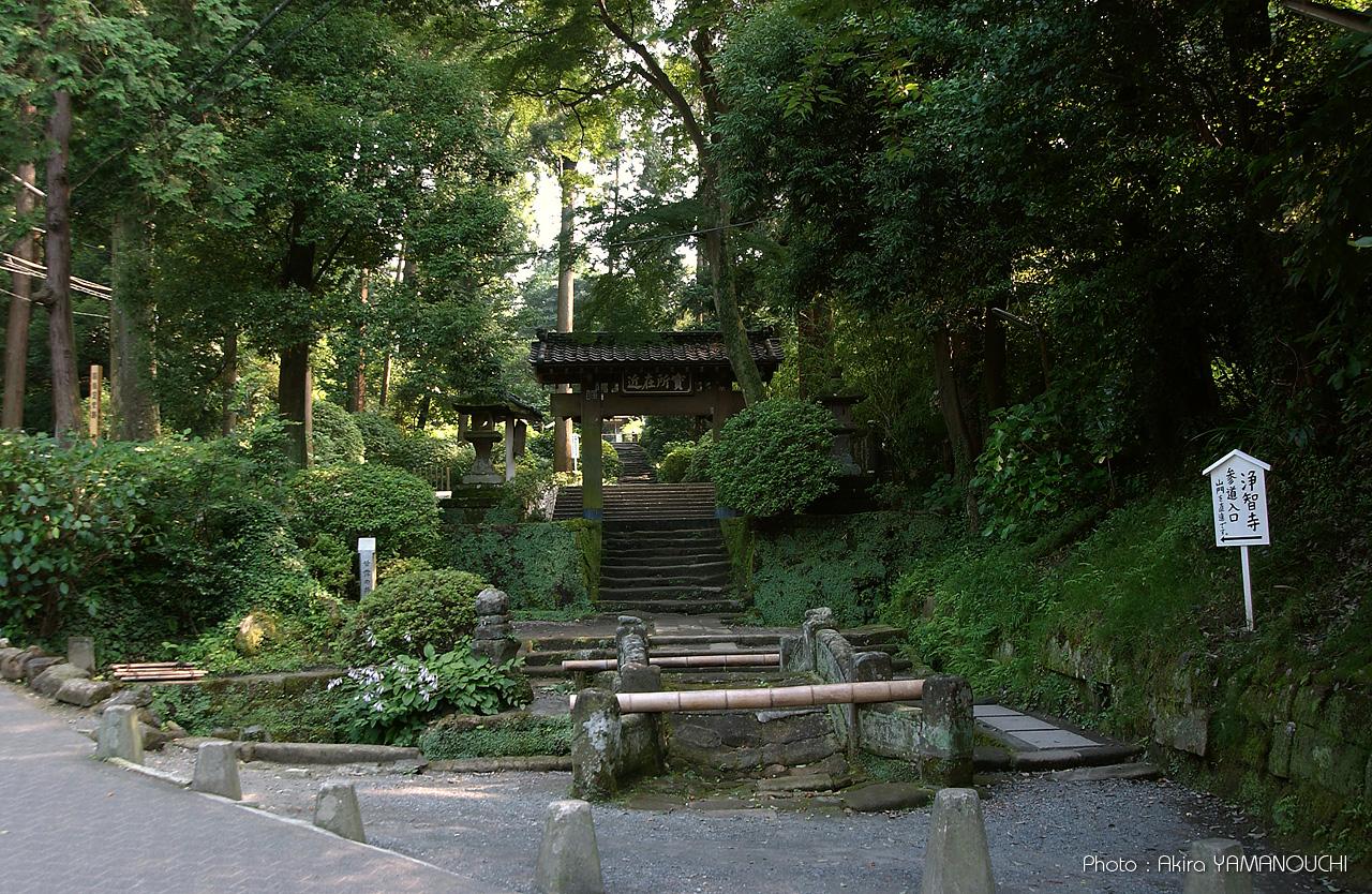 甘露の井