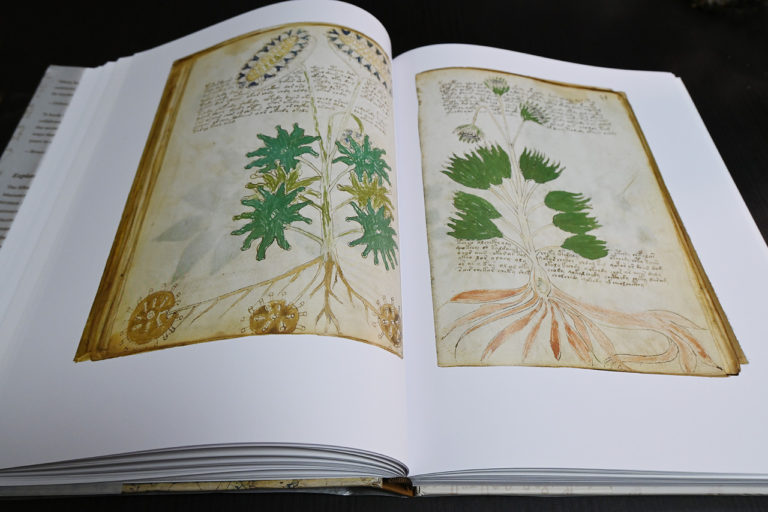 ヴォイニッチ手稿複製本（The Voynich Manuscript）