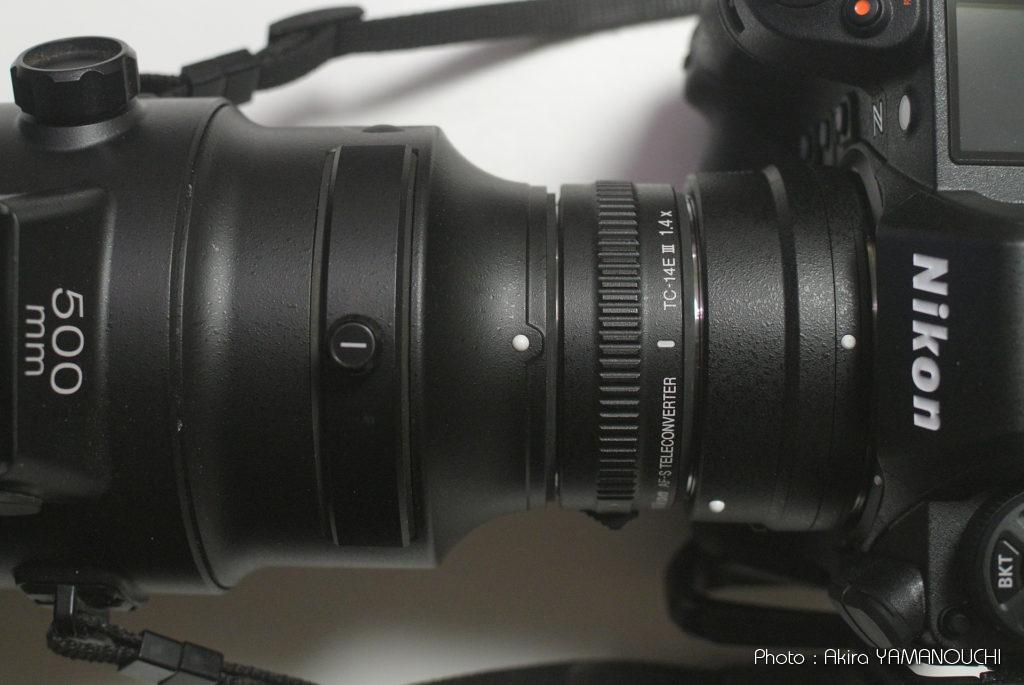 Nikon Z9 + AF-S NIKKOR 500mm f/4E FL ED VRレビュー（野鳥撮影）