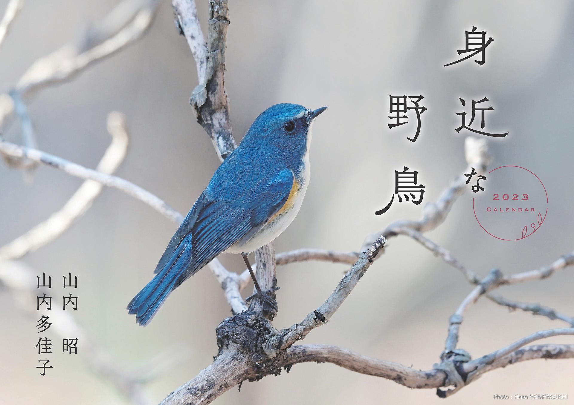 身近な野鳥カレンダー2023